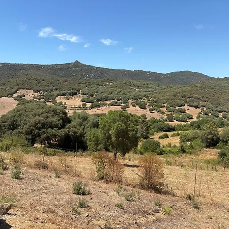 Entre Et Maquis- Maison Avec Piscine Privee - 8 Minutes Tizzano Semesterbostad