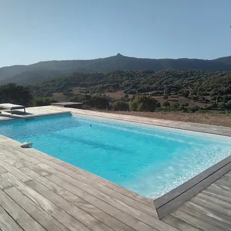 Entre Et Maquis- Maison Avec Piscine Privée - 8 Minutes Tizzano Sartène