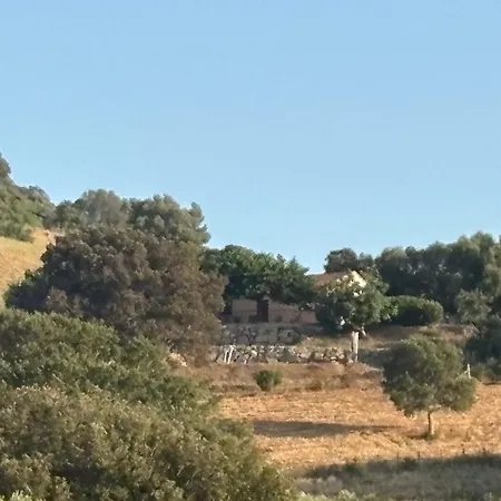 Entre Et Maquis- Maison Avec Piscine Privee - 8 Minutes Tizzano * 萨尔泰纳