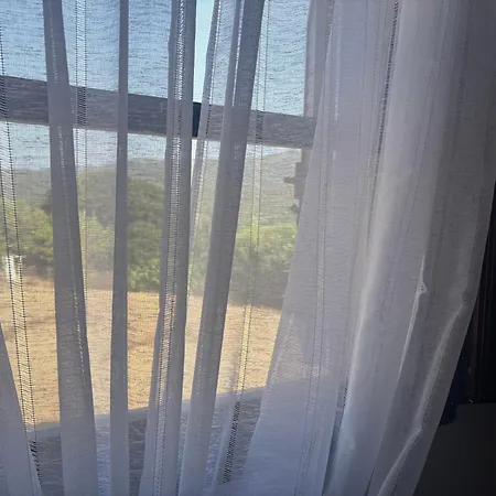 Tatil Evi Entre Et Maquis- Maison Avec Piscine Privee - 8 Minutes Tizzano Sartène