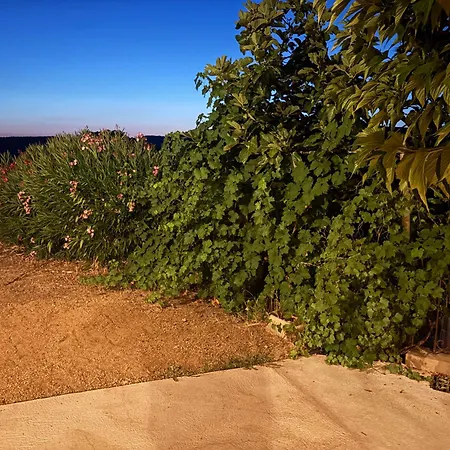 Holiday home Entre Et Maquis- Maison Avec Piscine Privee - 8 Minutes Tizzano *