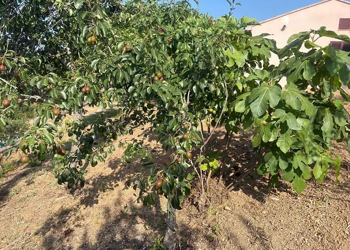 Prázdninový dům Entre Et Maquis- Maison Avec Piscine Privee - 8 Minutes Tizzano *