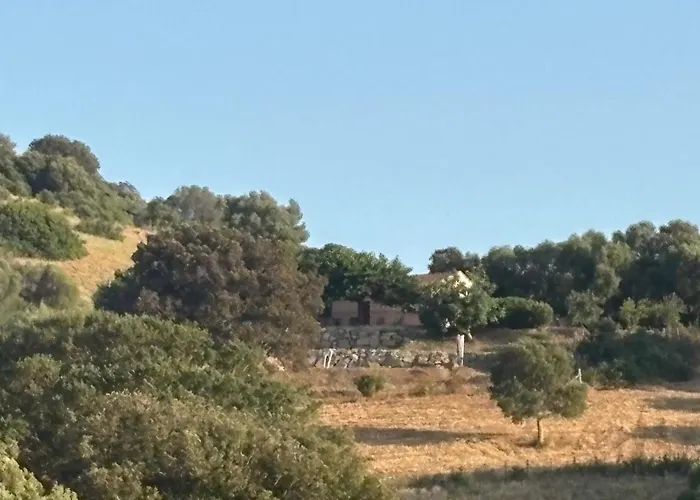 Entre Et Maquis- Maison Avec Piscine Privee - 8 Minutes Tizzano * Sartène