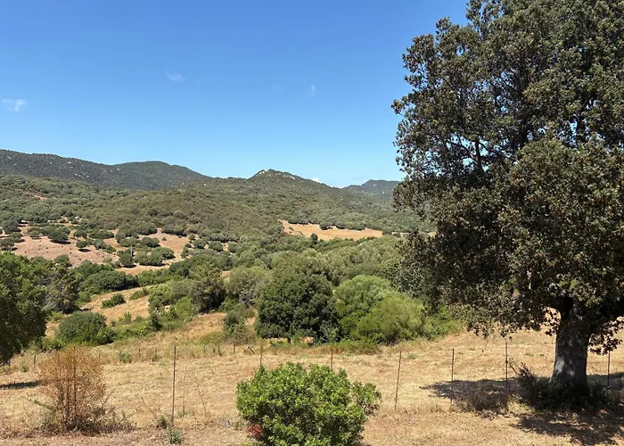 Prázdninový dům Entre Et Maquis- Maison Avec Piscine Privee - 8 Minutes Tizzano Sartène