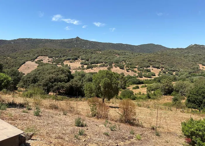 Entre Et Maquis- Maison Avec Piscine Privee - 8 Minutes Tizzano Prázdninový dům